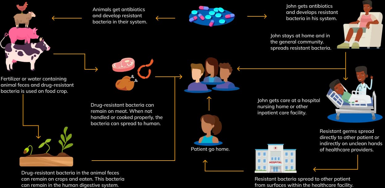 How antibiotic resistance spreads